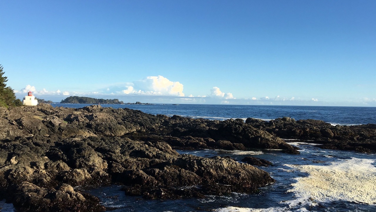 Photo of Others in Ucluelet