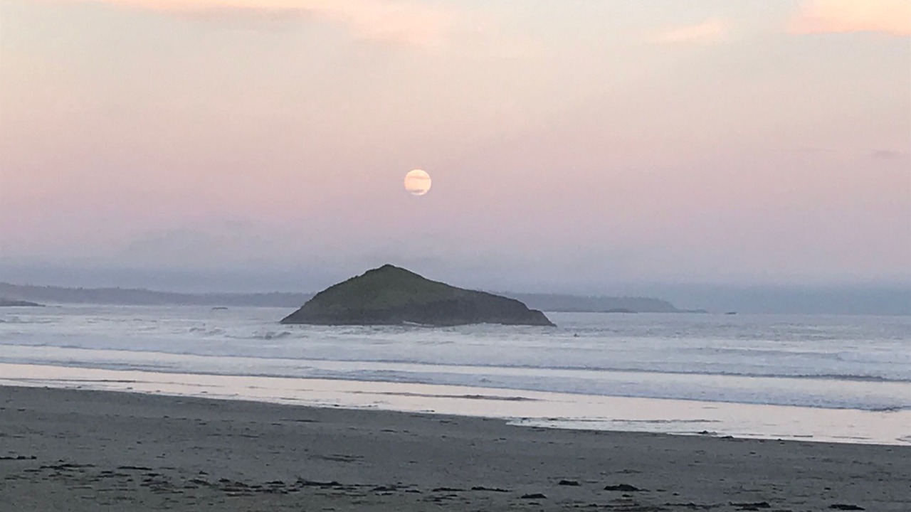 Photo of Others in Ucluelet