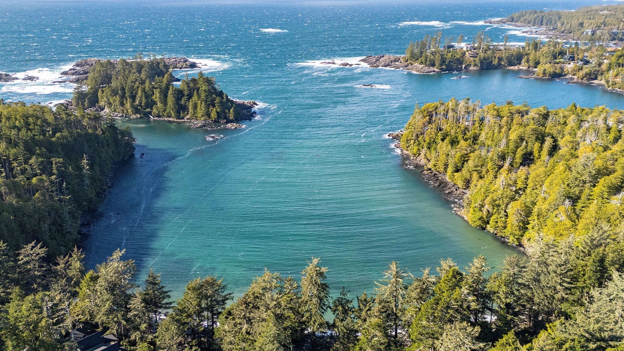 Photo of Others in Ucluelet