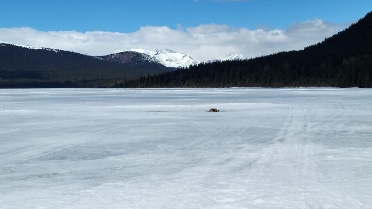 Photo of Others in Buckinghorse River