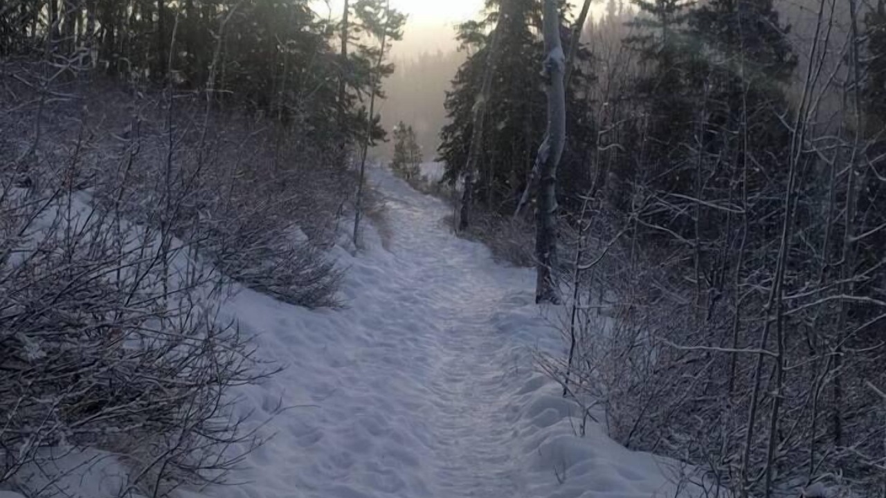 Photo of Others in Whitehorse