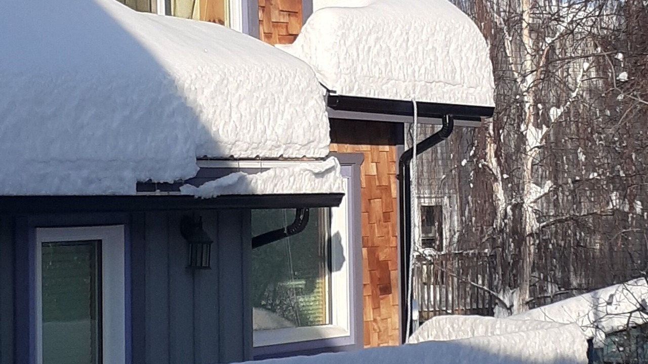 Photo of Others in Whitehorse