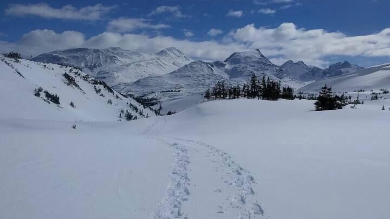 Photo of Others in Whitehorse