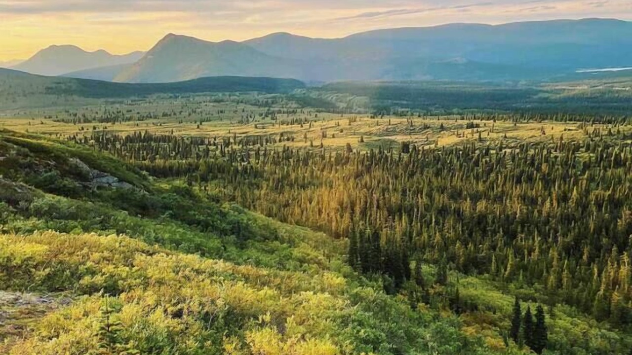 Photo of Outdoor in Whitehorse