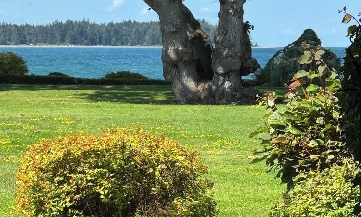 Photo of Outdoor in Regional District of Nanaimo