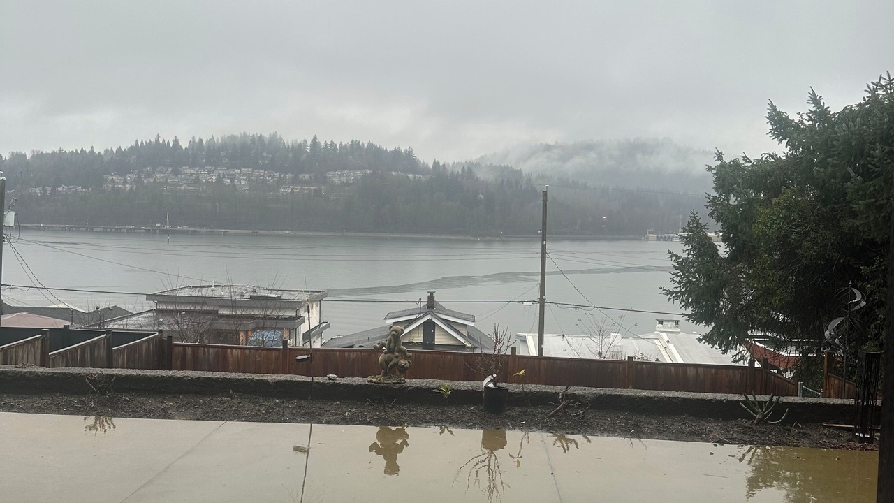 Photo of Others in Port Moody