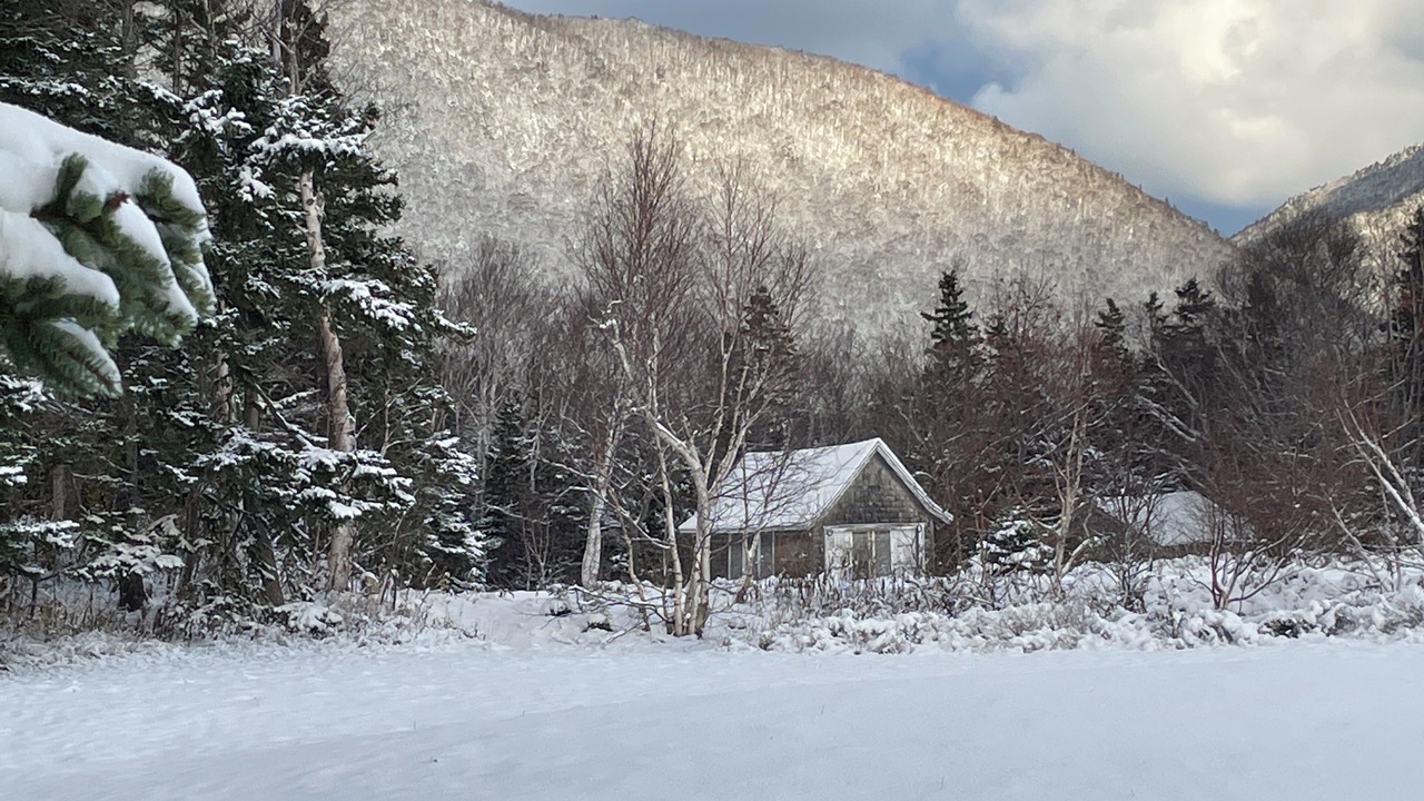 Photo of Outdoor in Aspy Bay