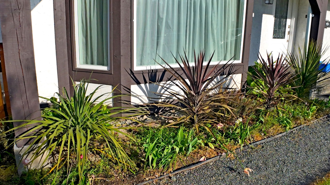 Photo of Outdoor in Gordon Head