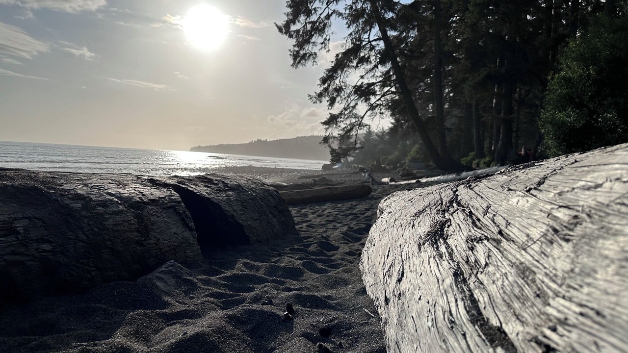 Photo of Others in Port Renfrew