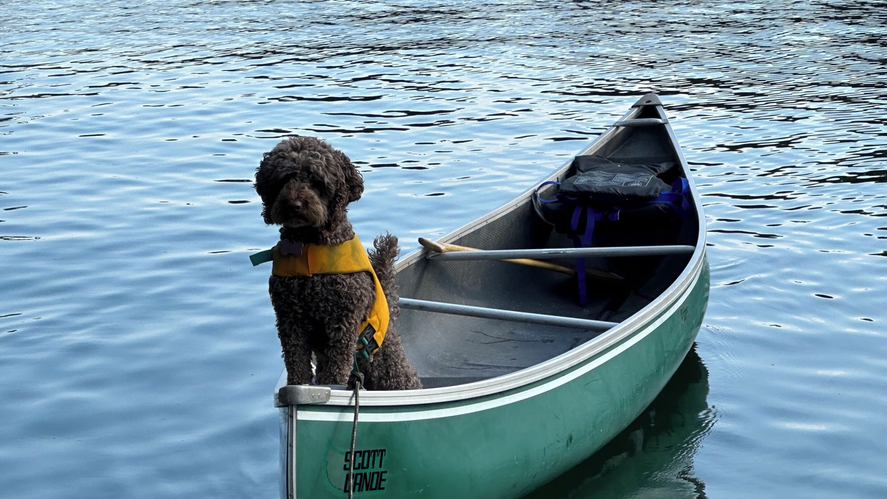 Photo of Others in Thetis Island