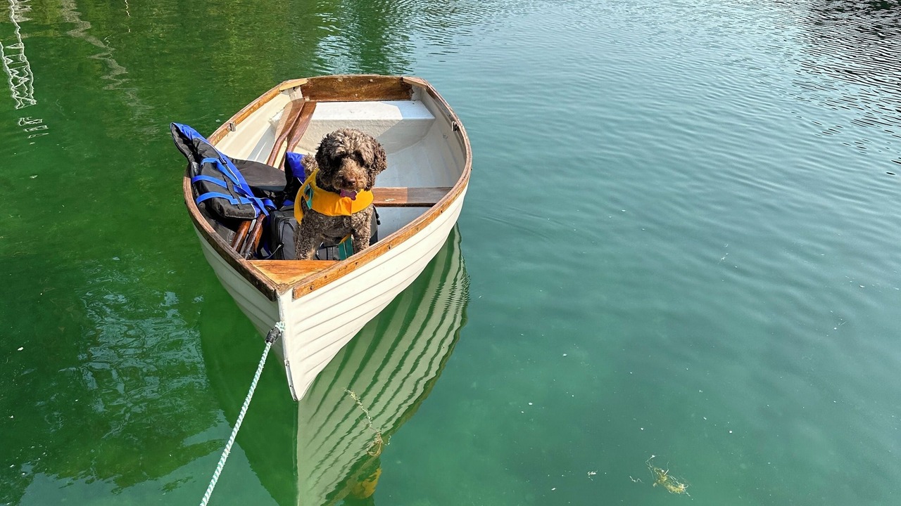 Photo of Others in Thetis Island
