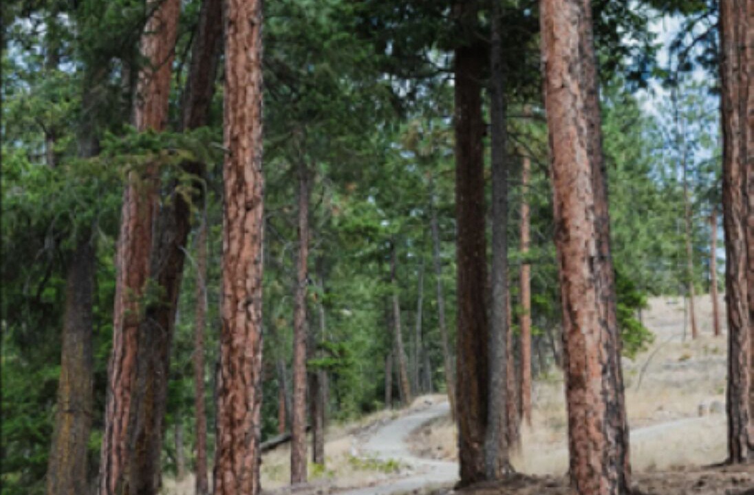 Photo of Outdoor in McKinley