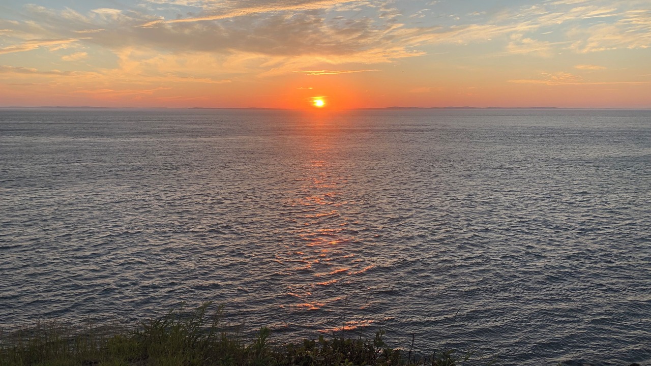 Photo of Others in North Head