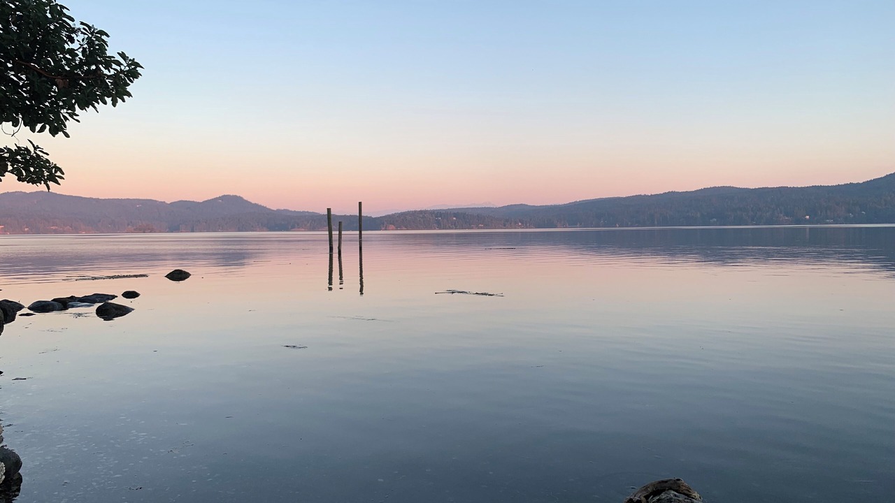 Photo of Others in Sooke