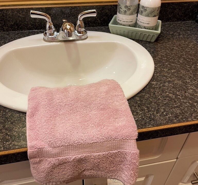 Photo of Bathroom in Falcon Lake