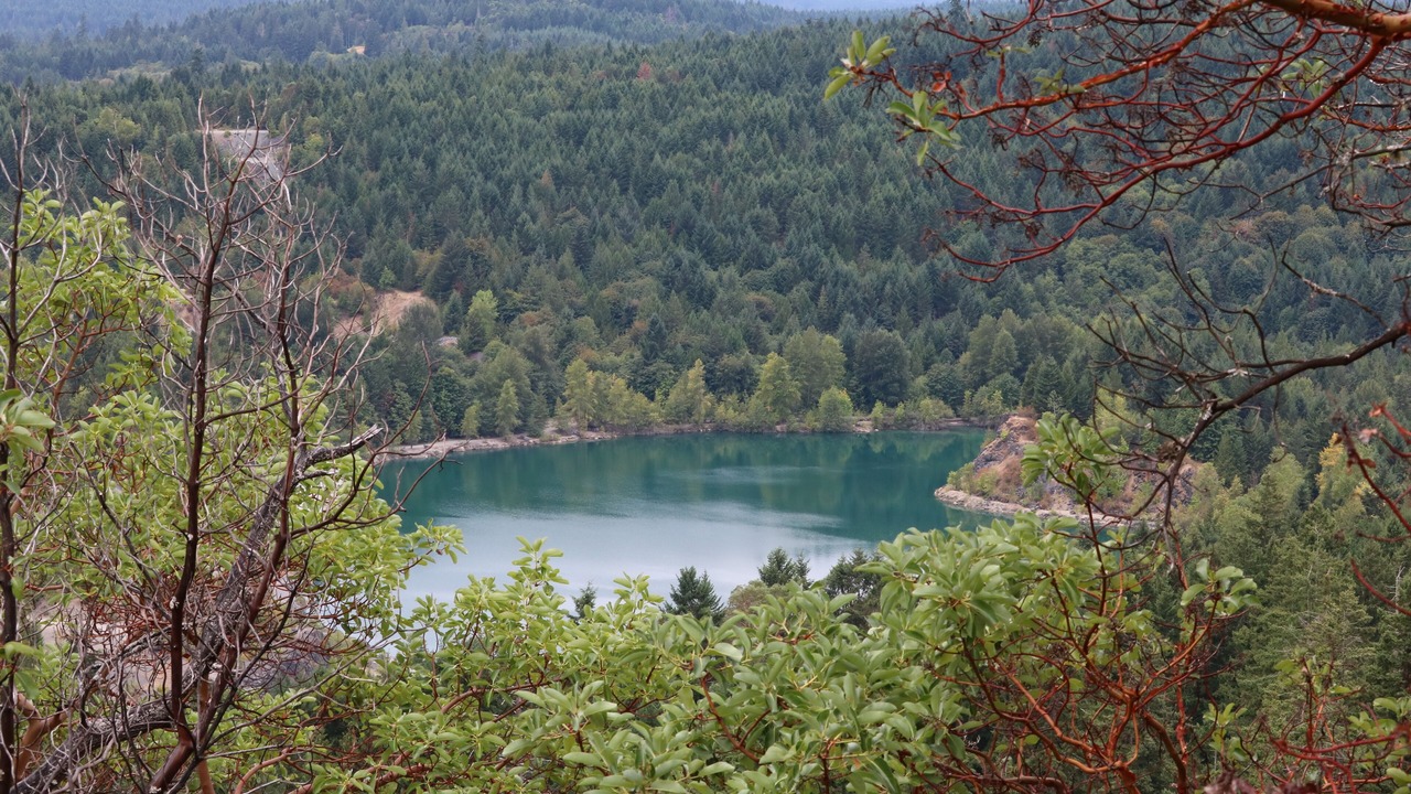 Photo of Others in Mill Bay