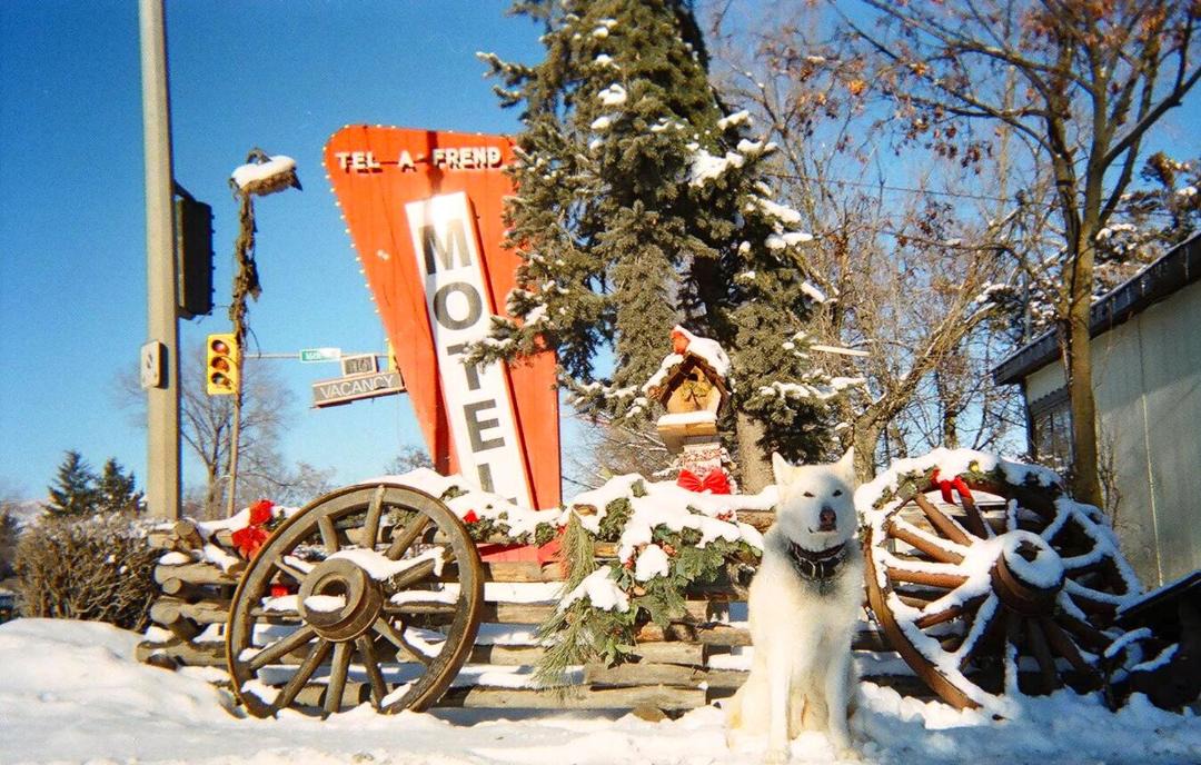 Photo of Others in Vernon