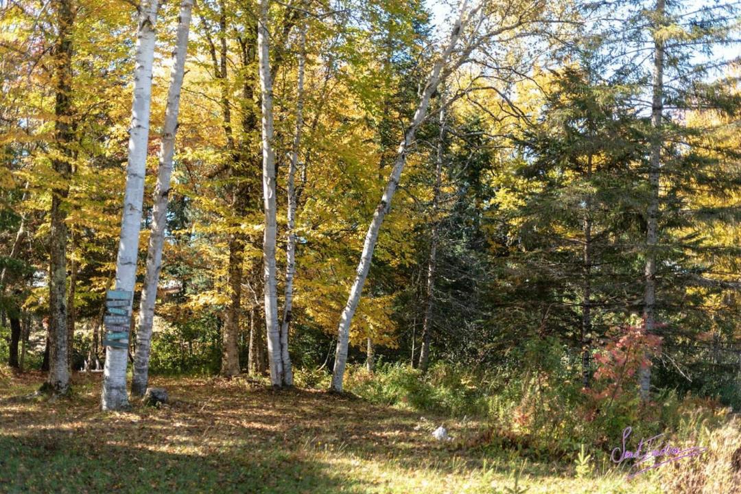 Photo of Others in Chute-Saint-Philippe