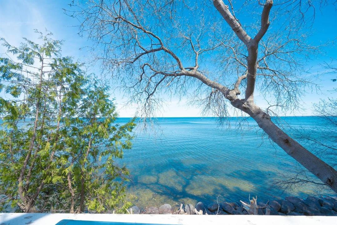 Photo of Others in Georgina