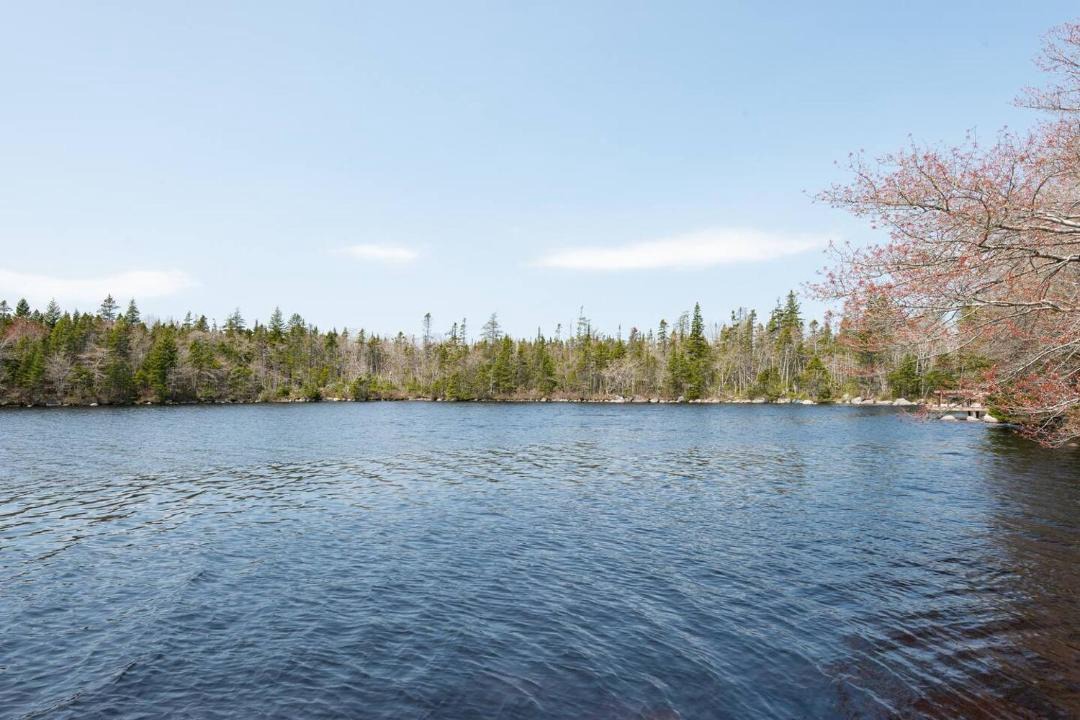 Photo of Others in Prospect Bay