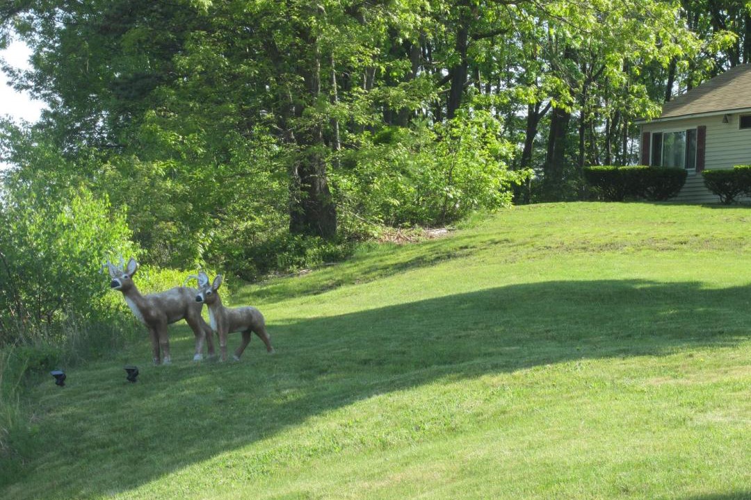 Photo of Others in Kittery