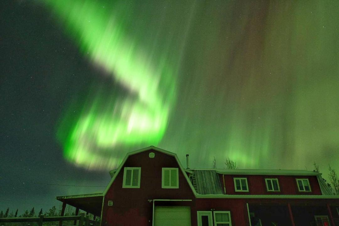 Photo of Others in Whitehorse