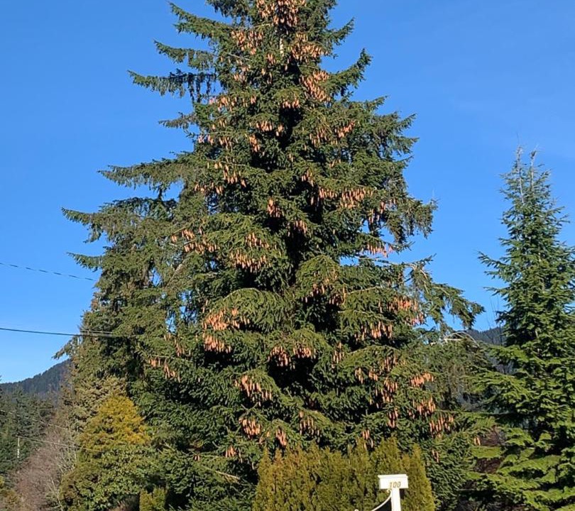 Photo of Others in West Vancouver