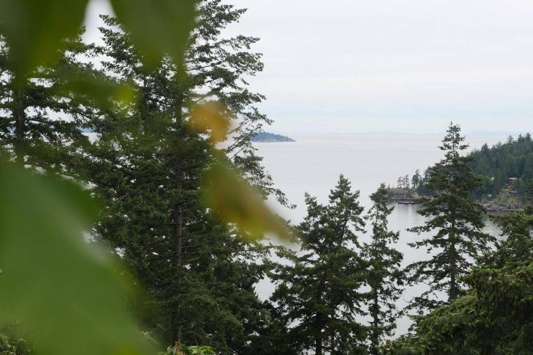 Photo of Others in Bowen Island