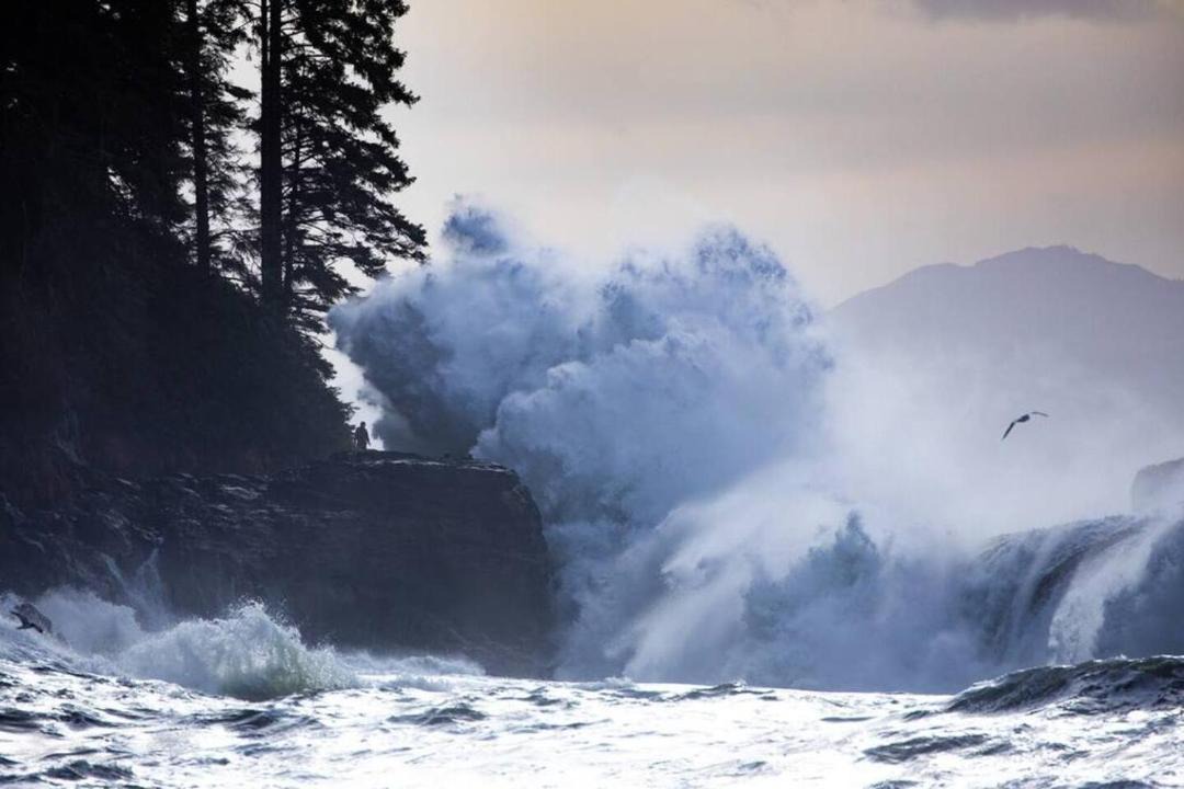 Photo of Others in Port Renfrew