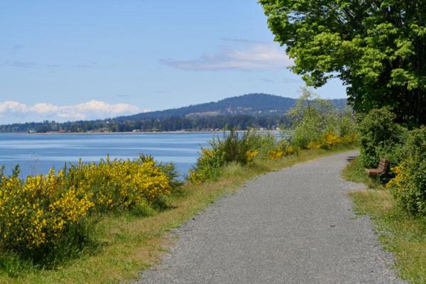 Photo of Others in Saanich West
