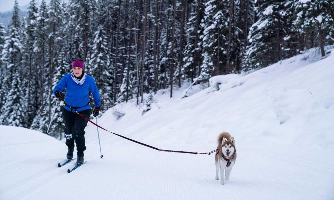 Photo of Others in East Kootenay
