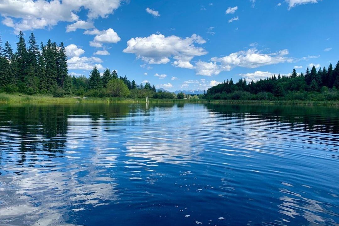 Photo of Others in East Kootenay