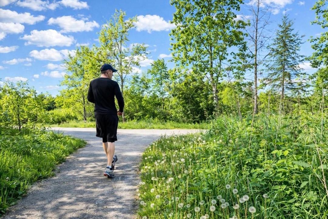 Photo of Others in Vaughan