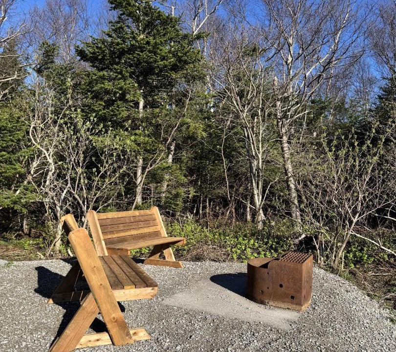 Photo of Others in Rocky Harbour