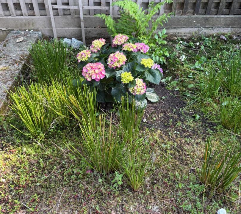 Photo of Outdoor in Oakridge