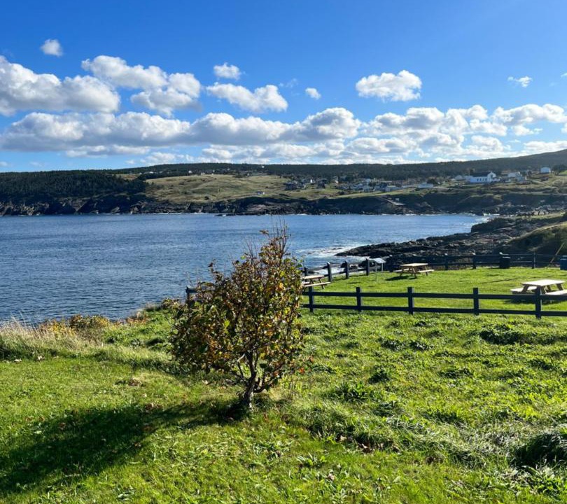 Photo of Others in Pouch Cove