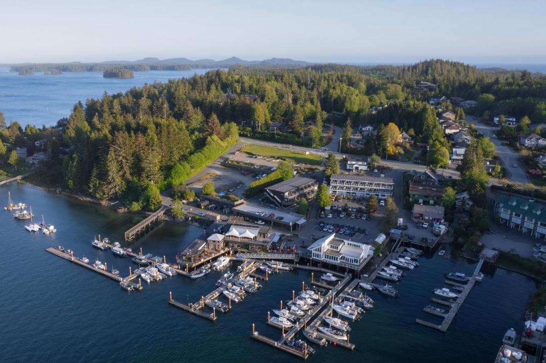 Photo of Others in Tofino