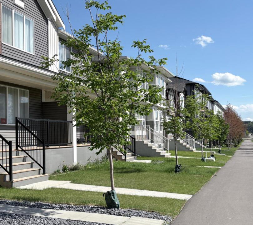 Photo of Others in Southwest Calgary