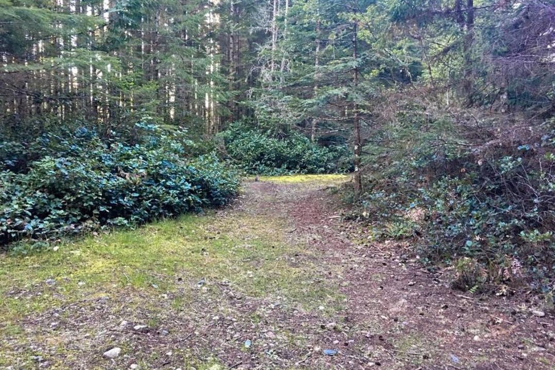 Photo of Others in Otter Point