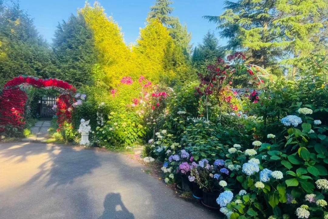Photo of Others in Surrey
