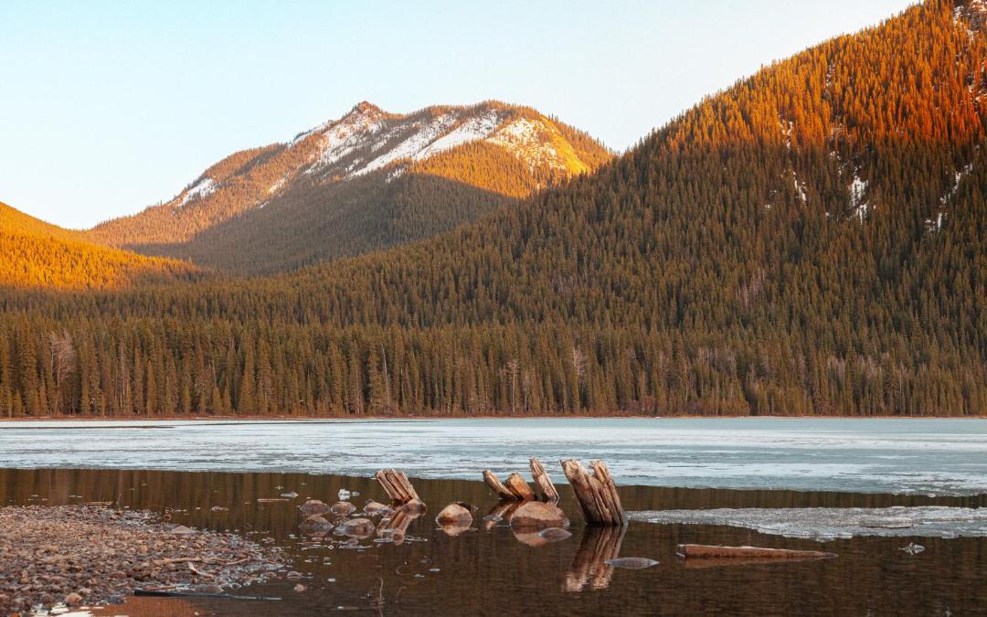 Photo of Others in Rock Lake