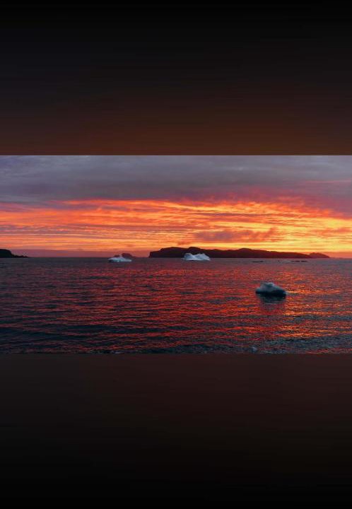 Photo of Others in Twillingate