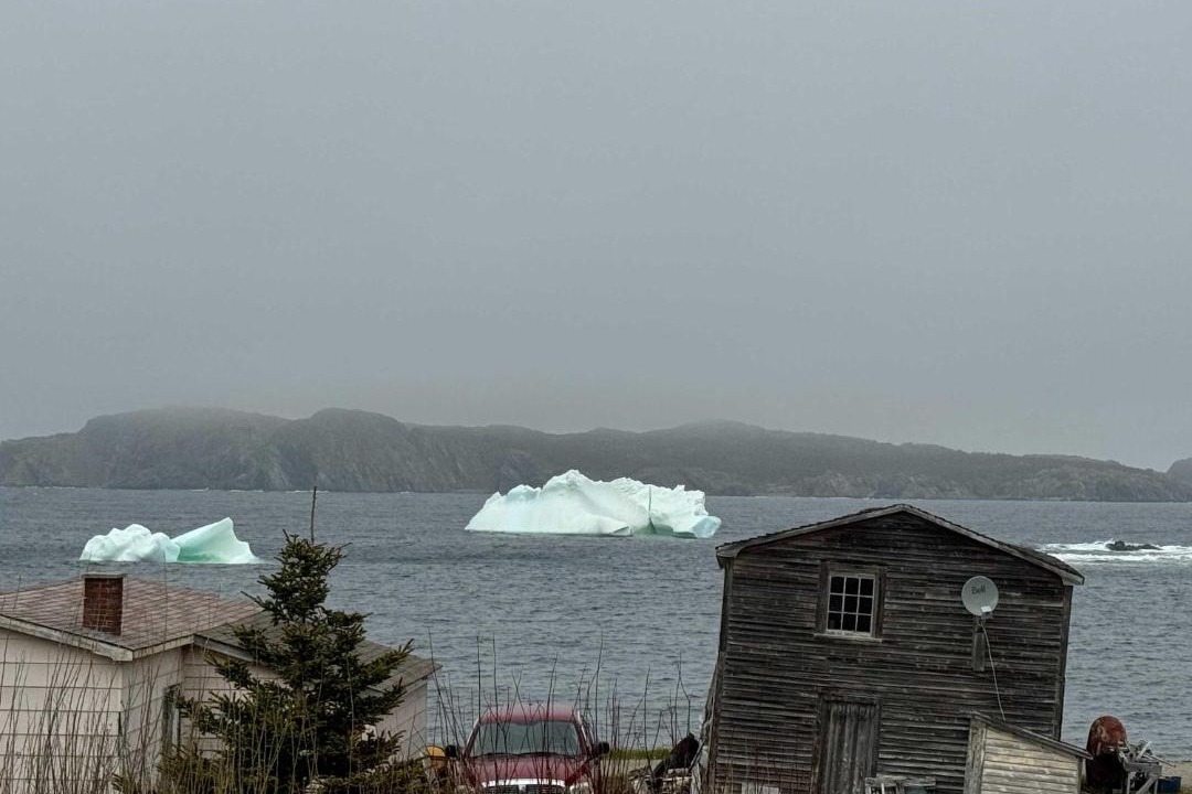 Photo of Others in Twillingate