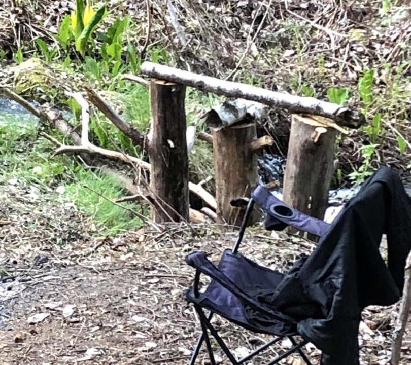 Photo of Others in Nelson