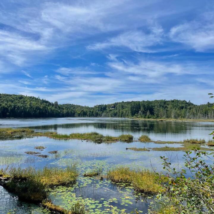 Photo of Others in Sainte-Marguerite-du-Lac-Masson