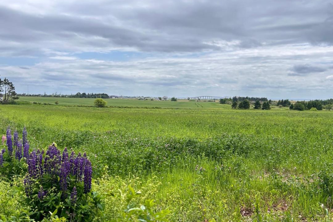 Photo of Others in Borden-Carleton