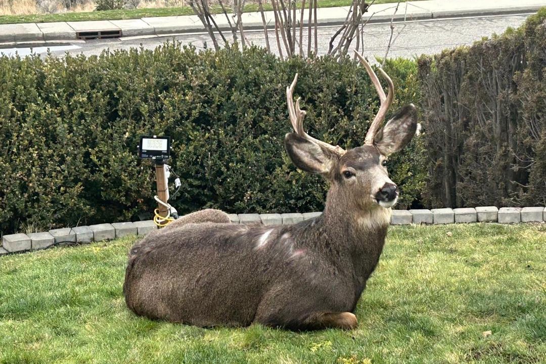Photo of Others in North End
