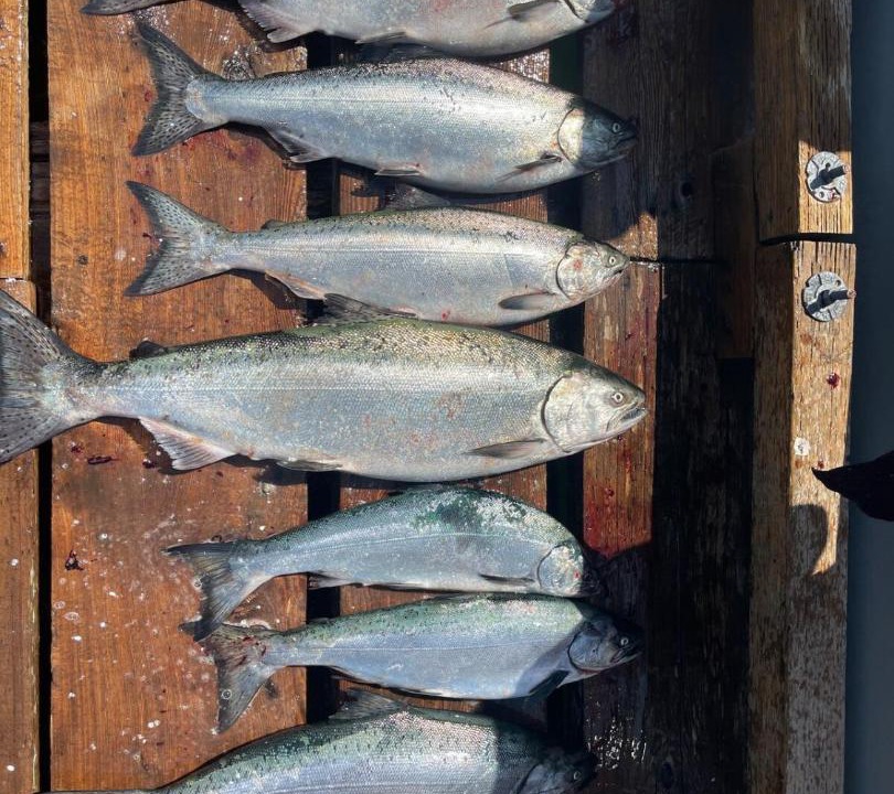 Photo of Others in Tahsis