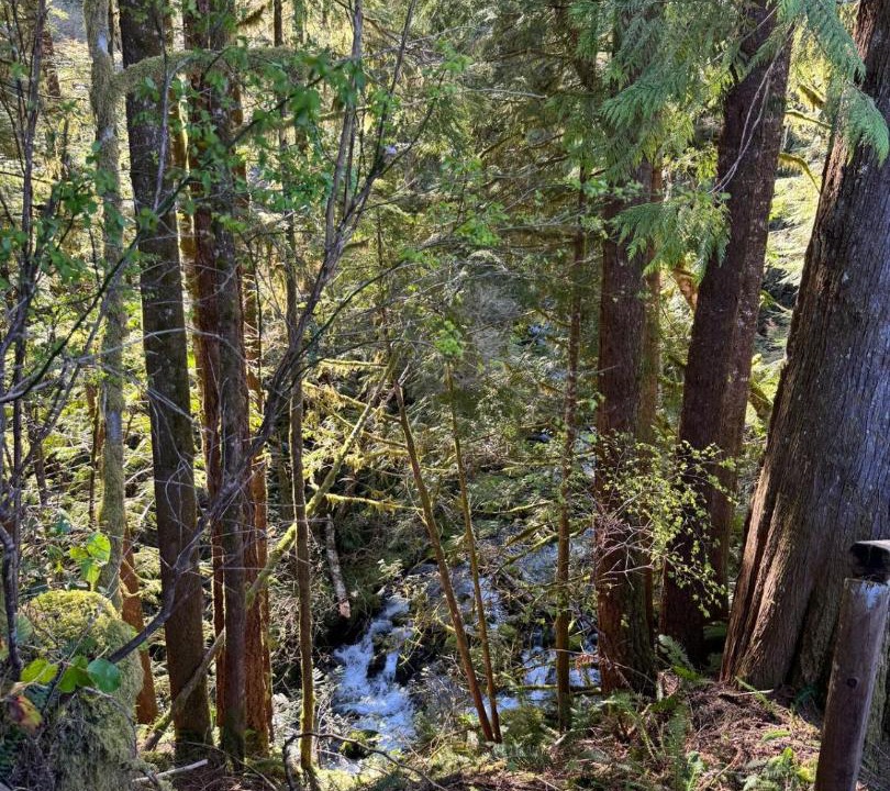 Photo of Others in Tahsis