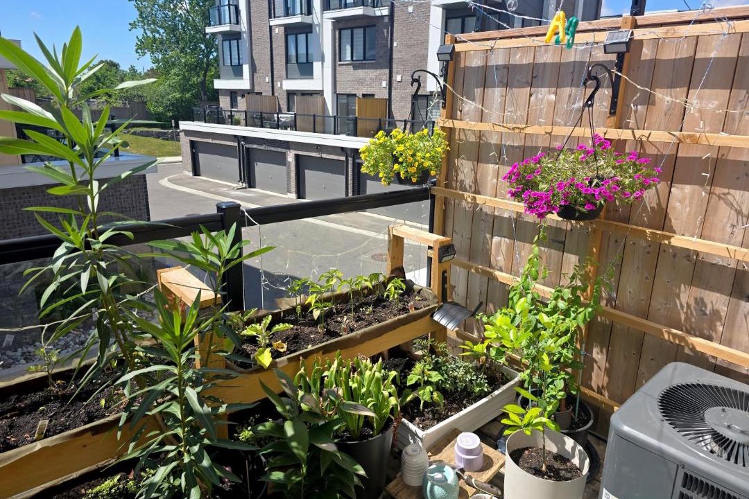 Photo of Patio Balcony in Downsview